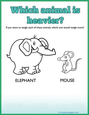 Elephant Measuring Weight Activity
