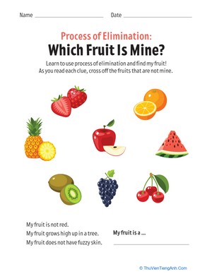 Process of Elimination: Which Fruit Is Mine?