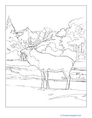 Elk Coloring Page