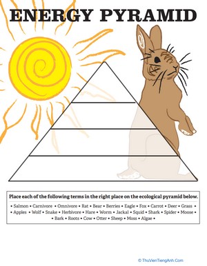 Energy Pyramid