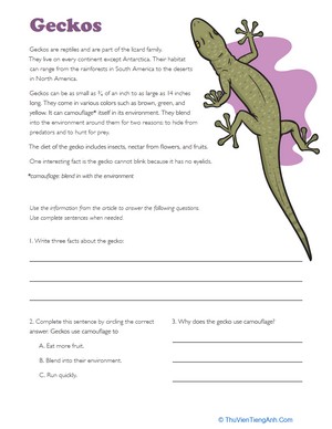 Facts About Geckos