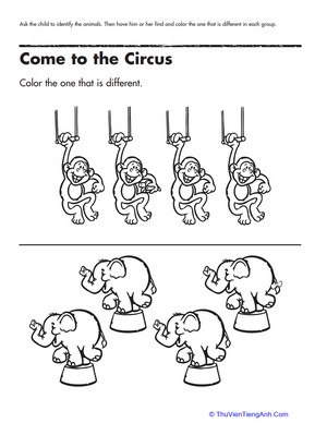 Find the One That’s Different: Circus Animals