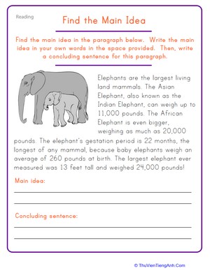 Find the Main Idea: Elephant