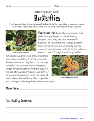 Find the Main Idea: Butterflies