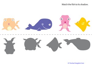 Fish Shapes Match Up