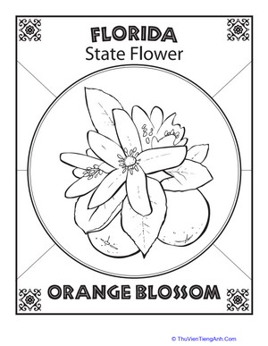 Florida State Flower