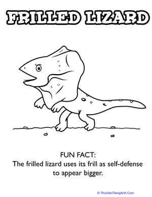 Frilled Lizard Coloring Page