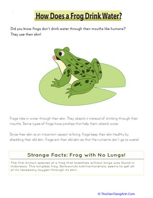 Froggie Expanded Numbers
