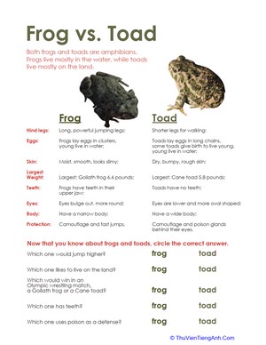 Frog vs. Toad