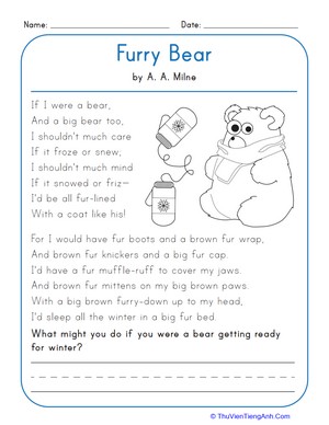 Furry Bear