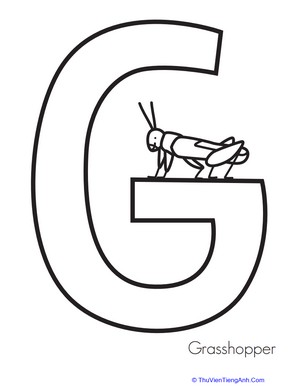 G is for Grasshopper