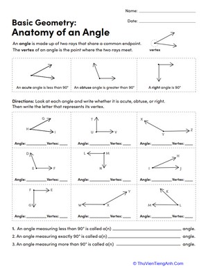 Basic Geometry: Anatomy of an Angle