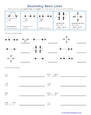 Geometry Basics: Review Quiz #1