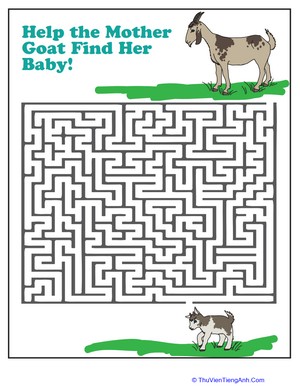 Goat Maze
