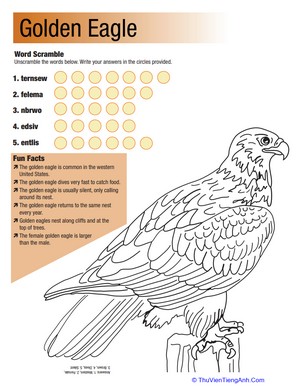 Golden Eagle Facts