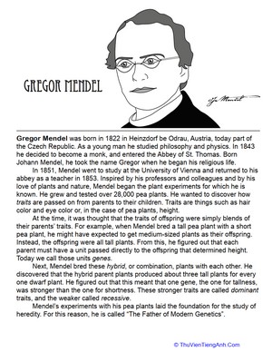Who Is Gregor Mendel?