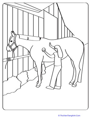 Groomed Horse Coloring Page