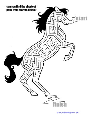 Horse Maze