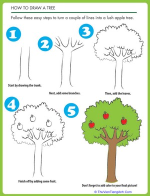 How to Draw a Tree
