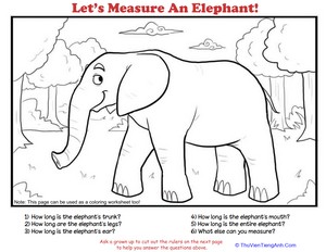 How to Measure: Elephant