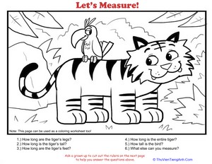 How to Measure: Tiger
