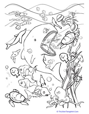 Hungry Whale Coloring Page
