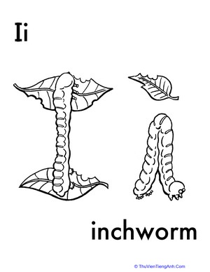 I for Inchworm
