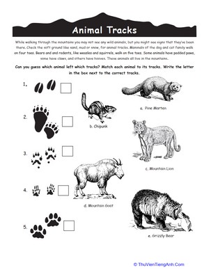 Identify Animal Tracks