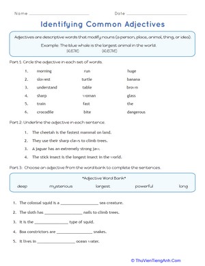 Identifying Common Adjectives