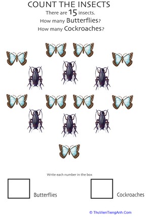 Insect Counting Worksheet: Butterflies and Cockroaches