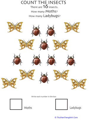 Insect Counting Worksheet: Moths and Ladybugs