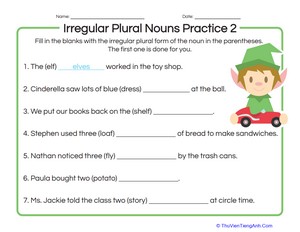 Irregular Plural Nouns Practice 2