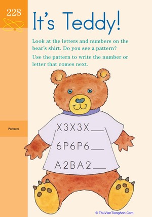 Text Filled Teddy: Identifying Patterns