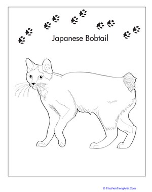 Japanese Bobtail Coloring Page