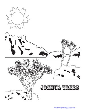 Joshua Tree Coloring Page