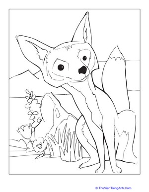 Kit Fox Coloring Page
