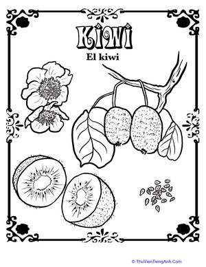 Kiwi in Spanish