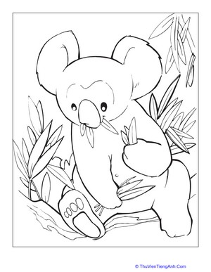 Koala Coloring Page