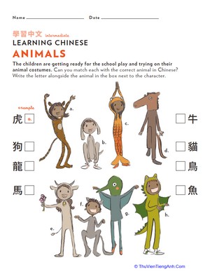 Learn Chinese: Animal Costumes