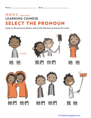 Learn Chinese: Select the Pronoun
