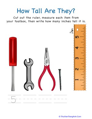 How Tall Are They: Tools