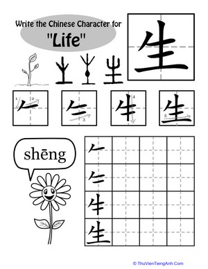 Learning Chinese Characters: “Life”