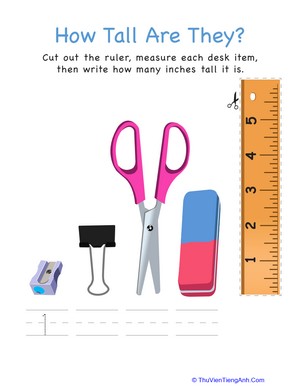 How Tall Are They: Desk Supplies