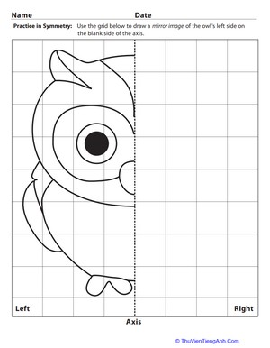 Learning Symmetry: Owl