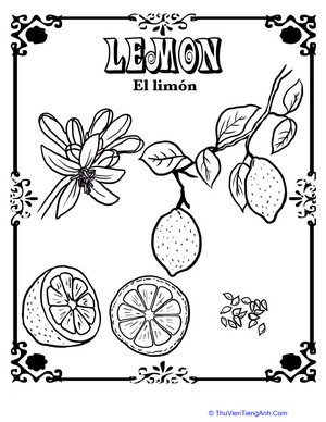Lemon in Spanish