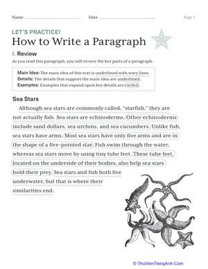 Let’s Practice! How to Write a Paragraph