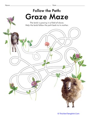 Follow the Path: Graze Maze
