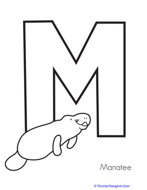 M is for Manatee