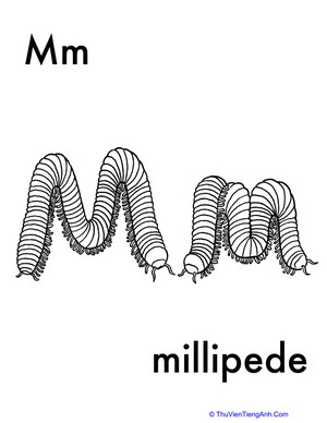 M for Millipede