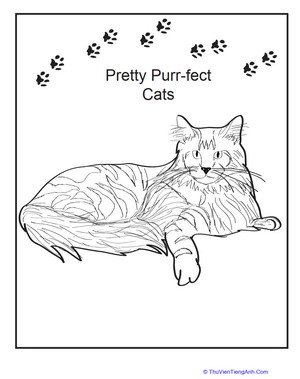 Maine Coon Coloring Page